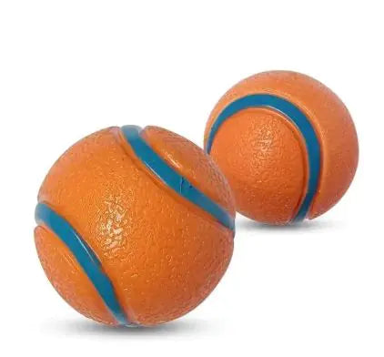 Fetch Fun Floating Rubber Play Ball